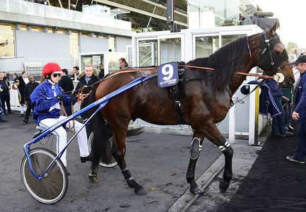 Actualités Hippiques